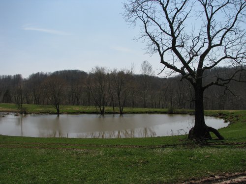 Property photo 40 - 137 Acres in 2 Tracts - 64 Tillable Acres, Potential Building Sites, Hunting